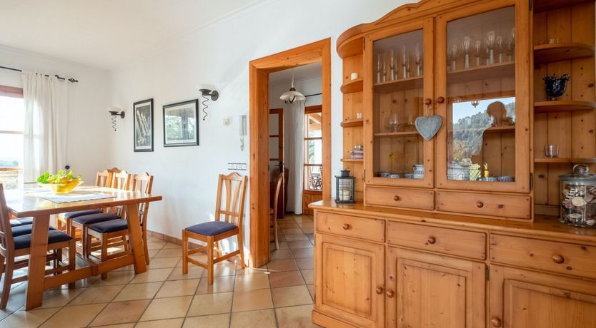 Photo of The Dancing Palm