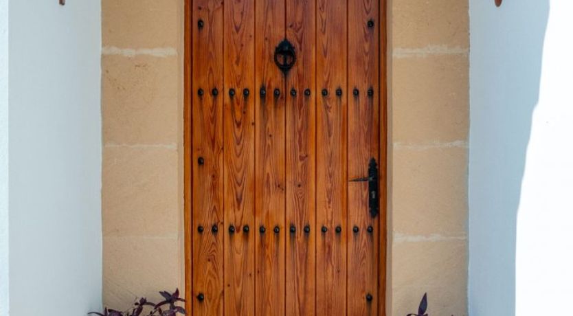 Photo of The Dancing Palm