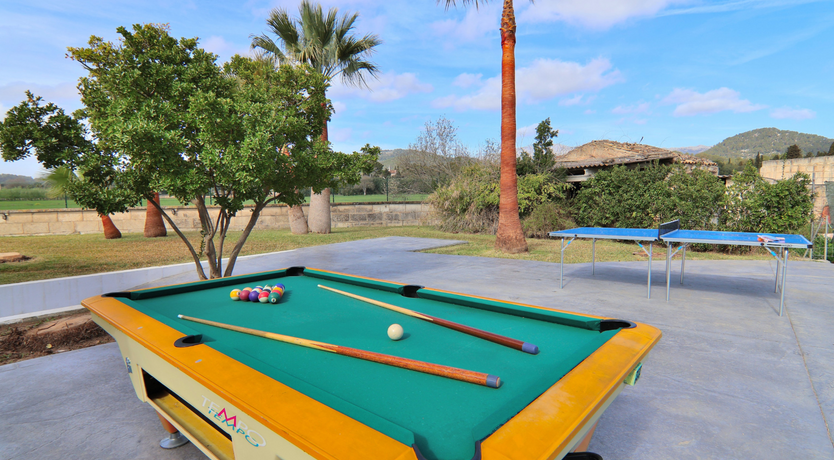 Photo of The Dancing Palm