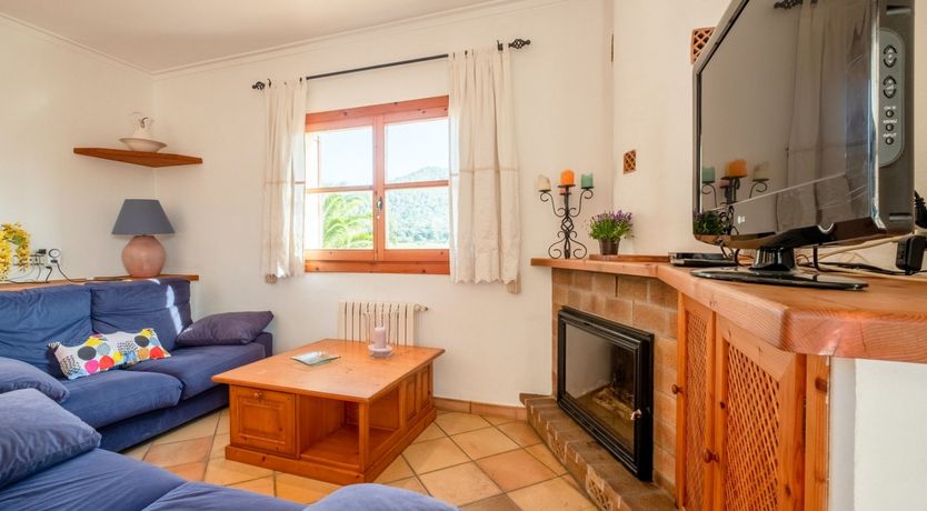 Photo of The Dancing Palm