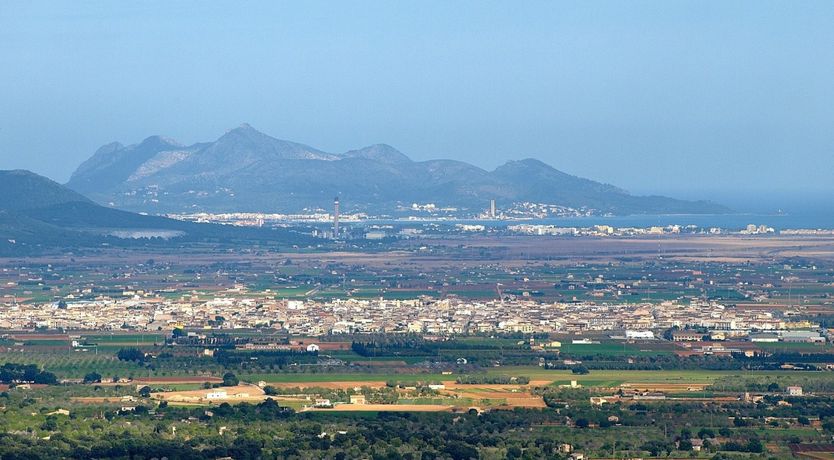 Photo of The Dancing Palm