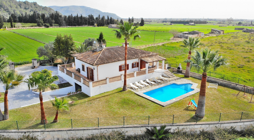 Photo of The Dancing Palm