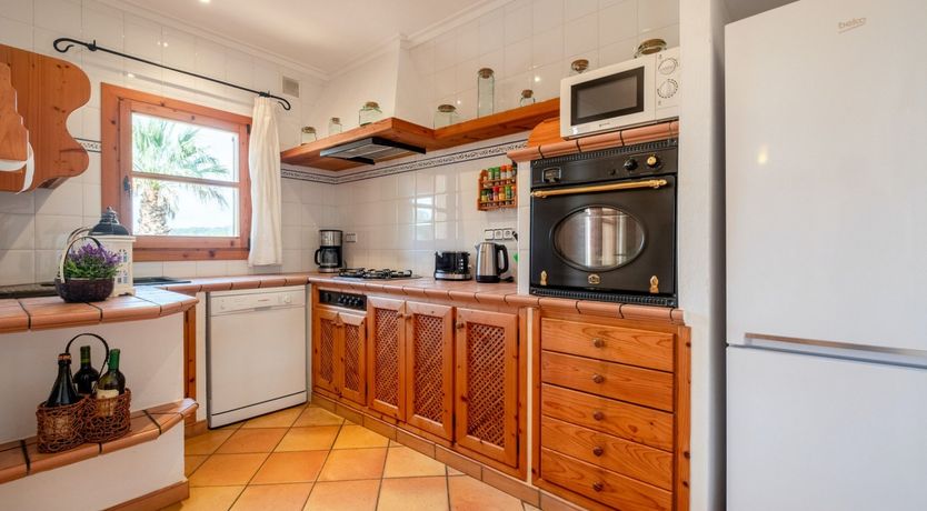 Photo of The Dancing Palm