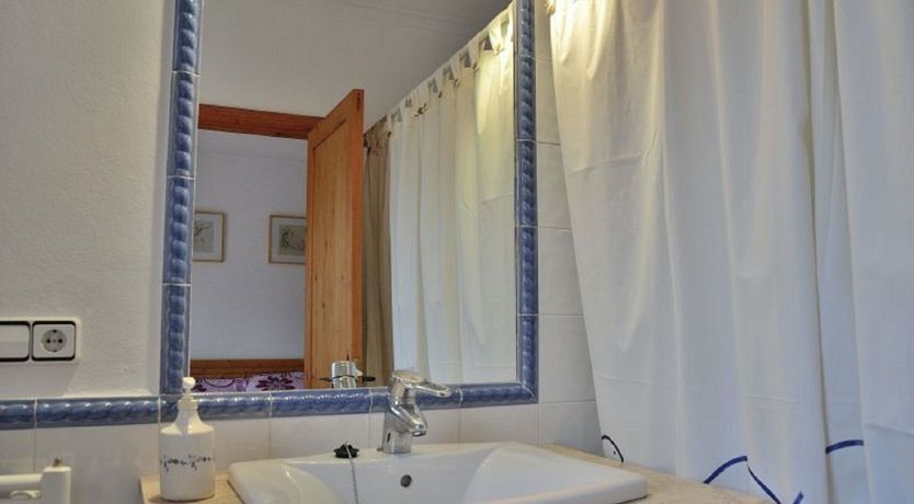 Photo of The Dancing Palm