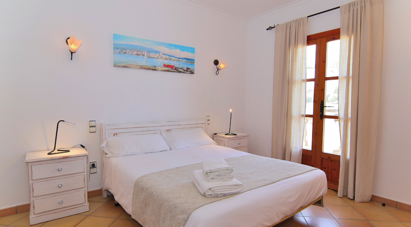 Photo of The Dancing Palm