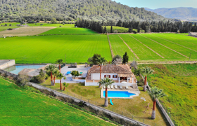 Photo of the-dancing-palm