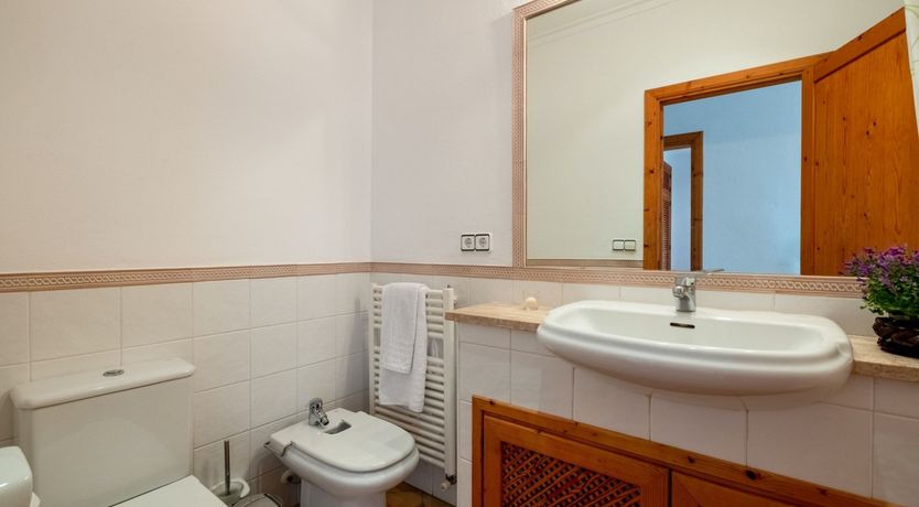 Photo of The Dancing Palm