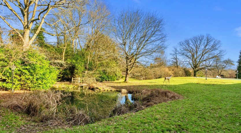 Photo of Beams Galore