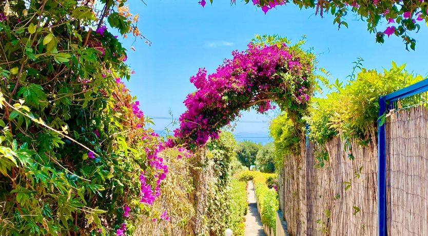 Photo of Berry Pretty