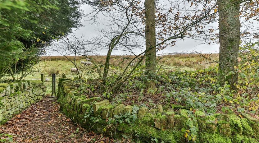 Photo of Blue Skies Up Ahead