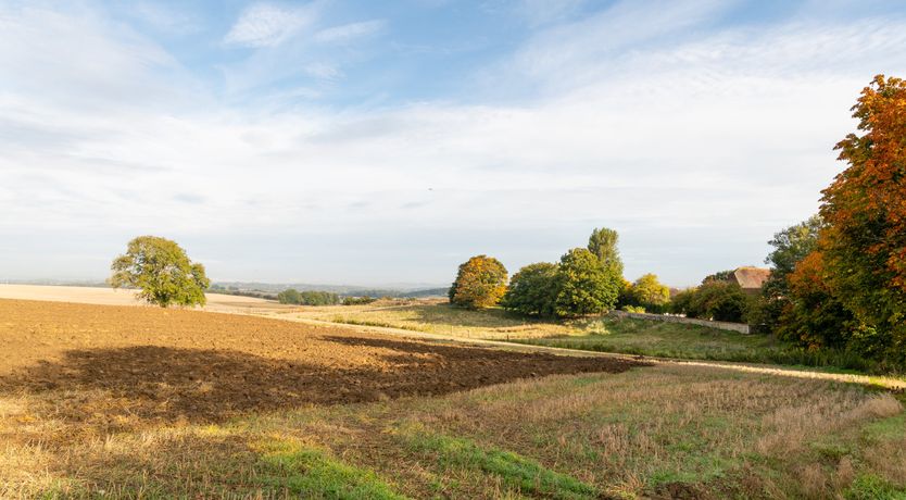 Photo of Brick & Ember