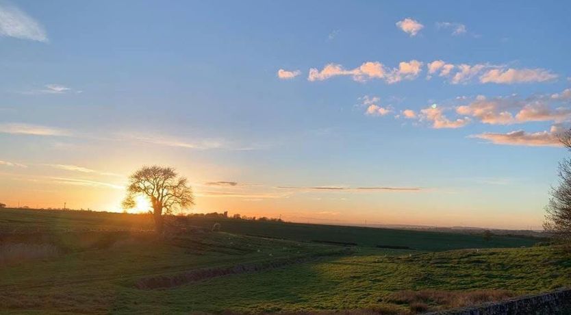 Photo of Brick & Ember