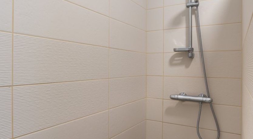 Photo of Jungle Greens