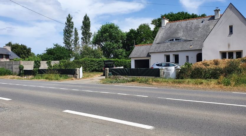 Photo of Jungle Greens