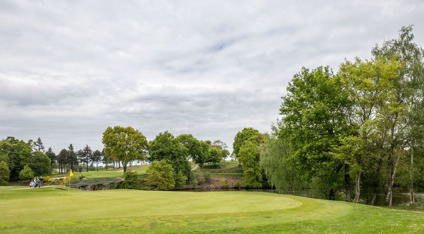 Photo of A Playful Character