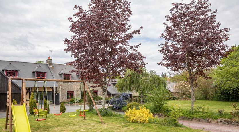 Photo of A Playful Character