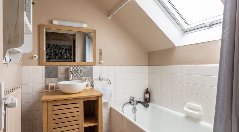 Photo of A Playful Character