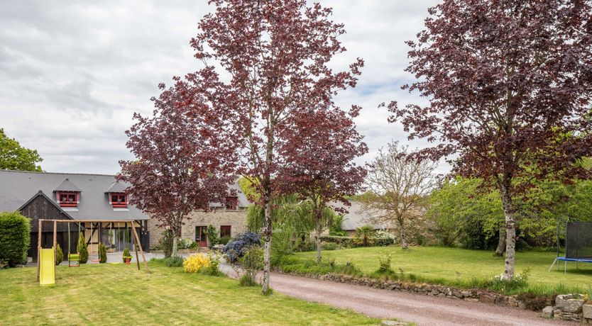 Photo of A Playful Character