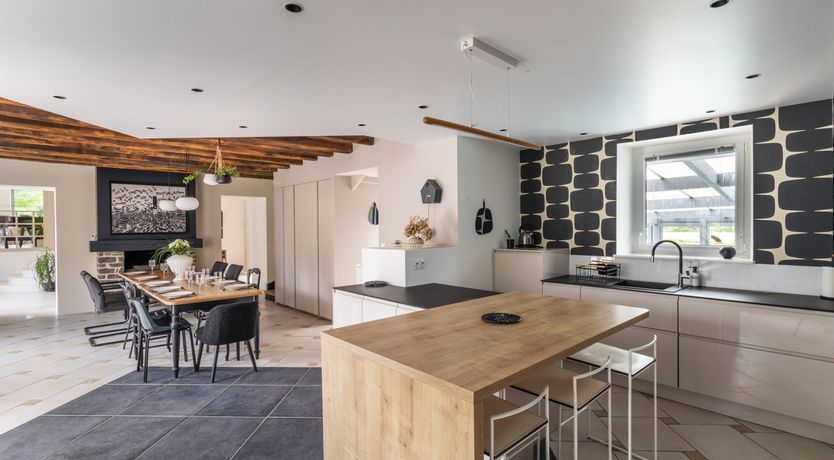 Photo of A Playful Character