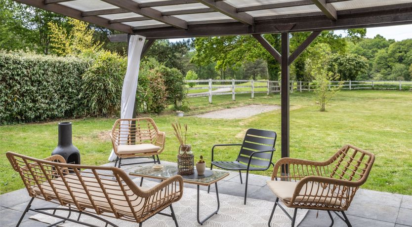 Photo of A Playful Character