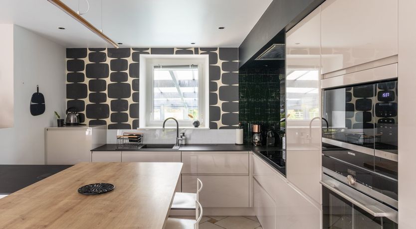 Photo of A Playful Character