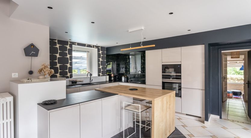 Photo of A Playful Character