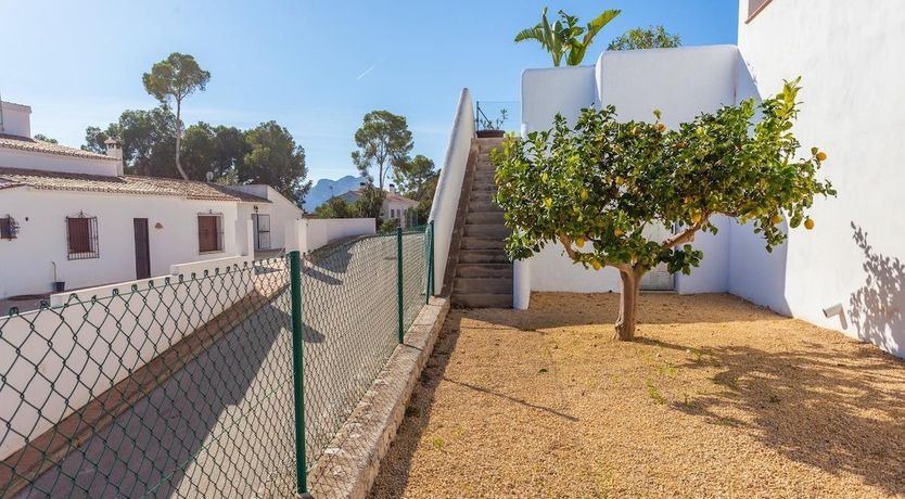 Photo of The Sea Dreamer