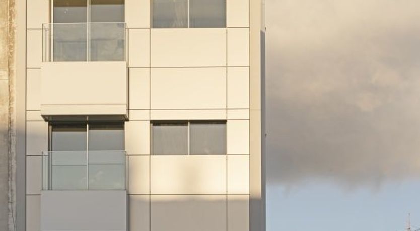 Photo of Sponge Cake