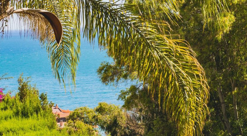 Photo of Deck-top Daydream