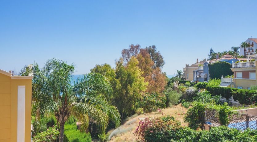 Photo of Deck-top Daydream