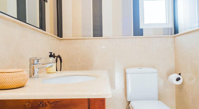 Photo of Deck-top Daydream