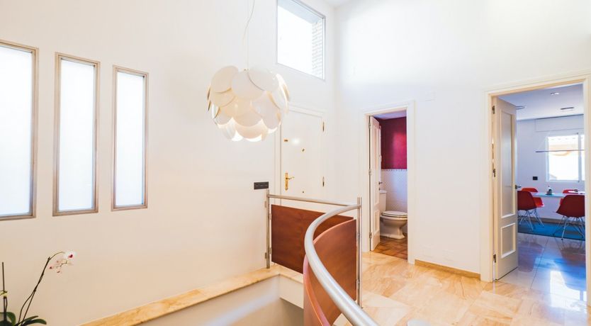 Photo of Deck-top Daydream