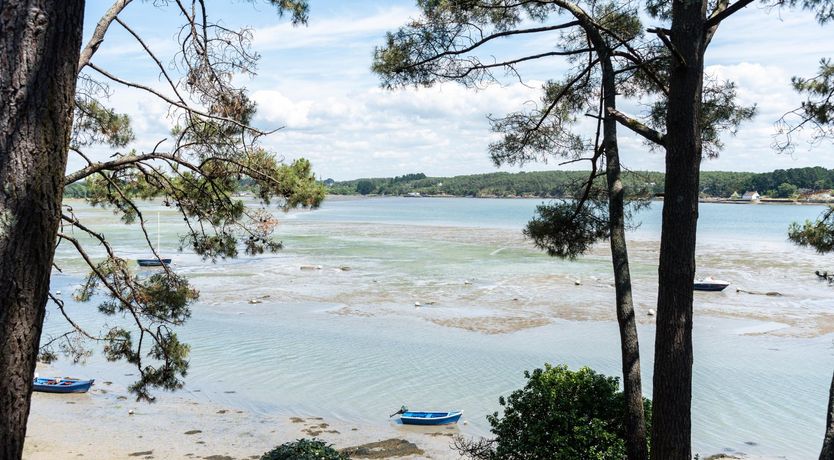 Photo of Maison Champagne