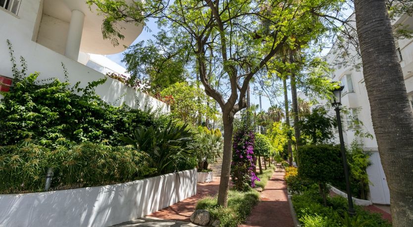 Photo of Marbella Mystic