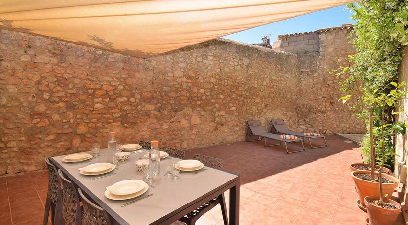 Photo of Hidden Hibiscus