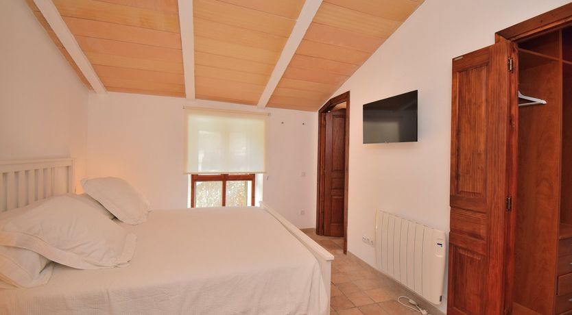 Photo of Hidden Hibiscus