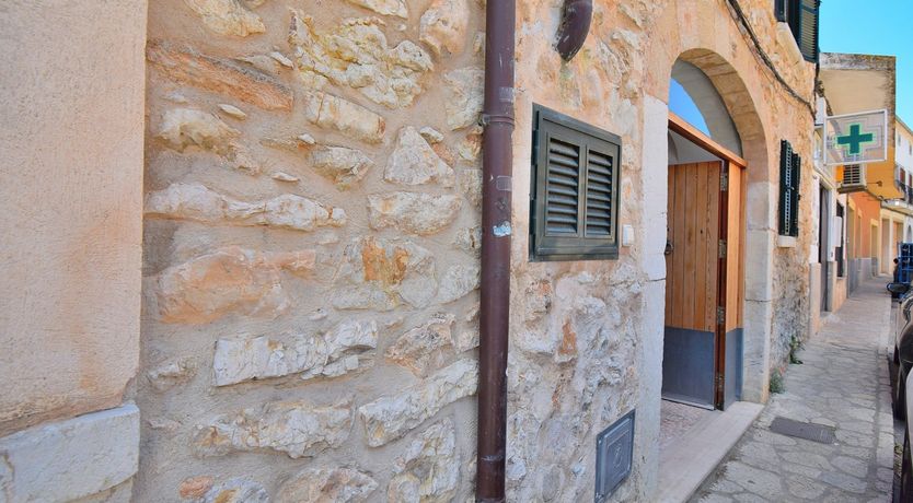 Photo of Hidden Hibiscus