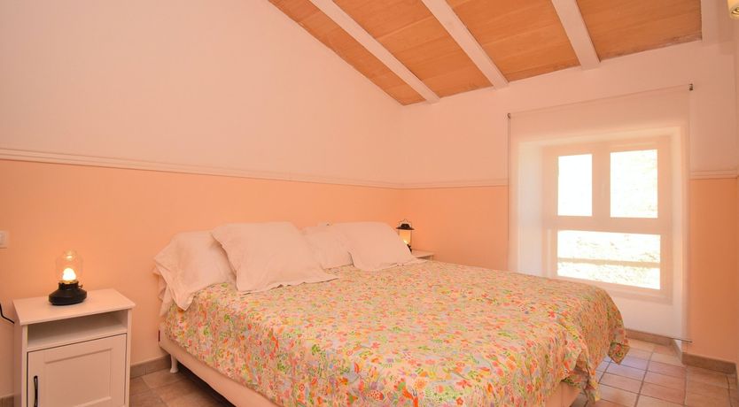 Photo of Hidden Hibiscus