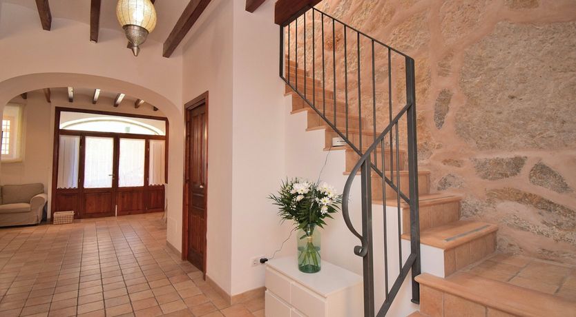 Photo of Hidden Hibiscus