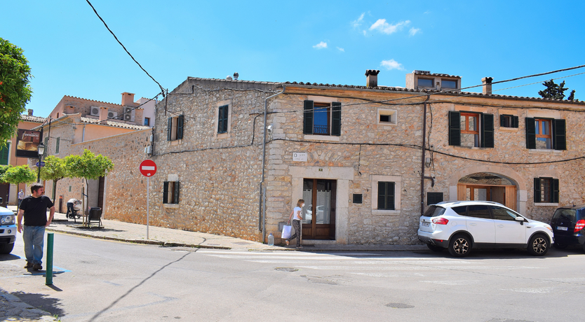 Photo of Hidden Hibiscus