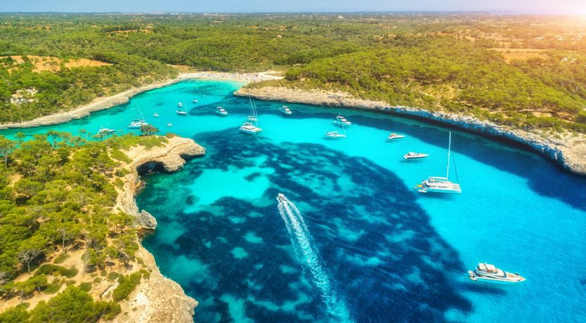 Photo of Hidden Hibiscus