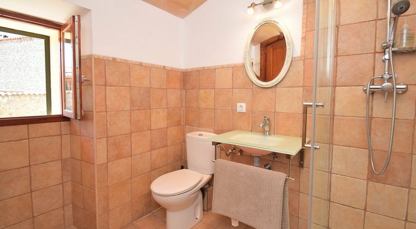 Photo of Hidden Hibiscus