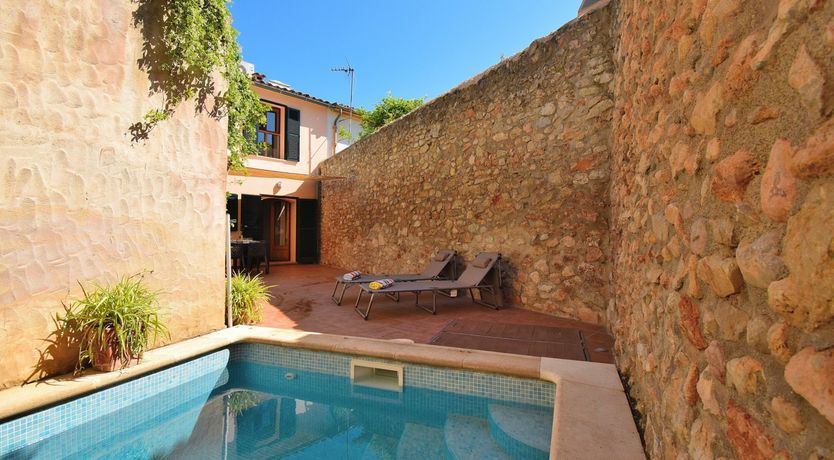 Photo of Hidden Hibiscus