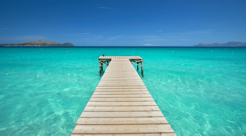 Photo of Hidden Hibiscus