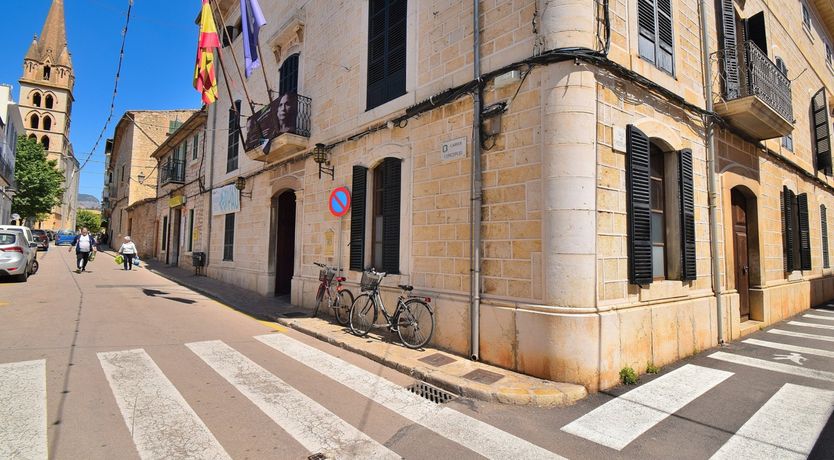 Photo of Hidden Hibiscus