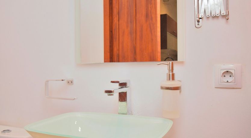 Photo of Hidden Hibiscus