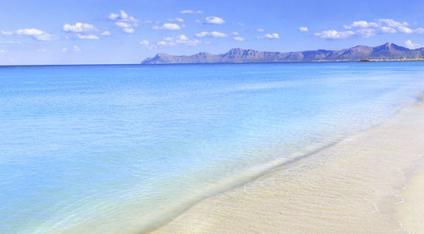 Photo of Hidden Hibiscus