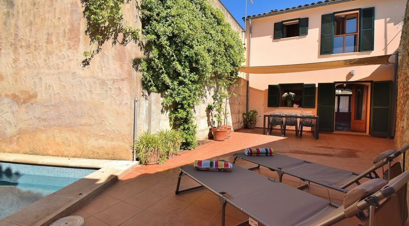 Photo of Hidden Hibiscus