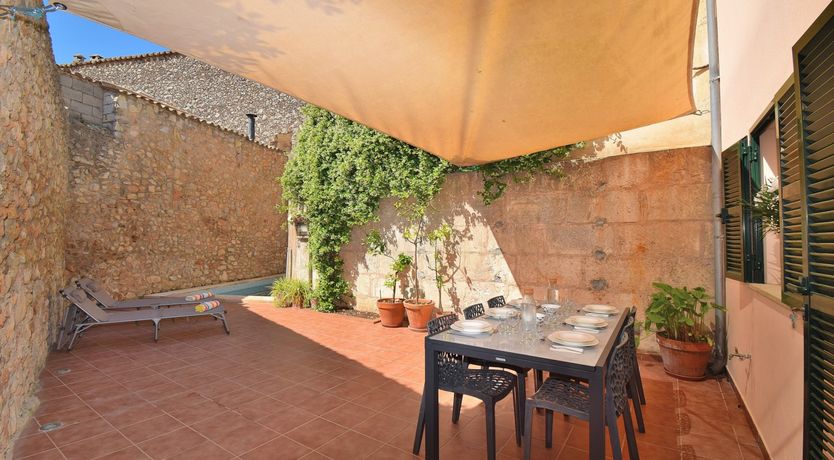 Photo of Hidden Hibiscus