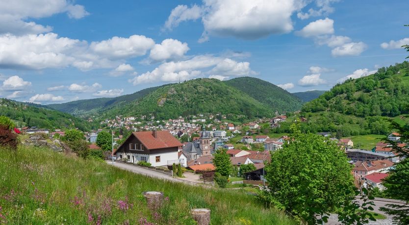 Photo of A Midsummer (or Mid-Winter) Night's Dream